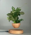 wooden magnetic floating floating desk air bonsai flowerpot plant 