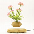 new creative magnetic floating levitation rotating plant flowerpot bonsai potted 4