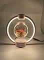 pink round magnetic levitation floating levitation Immortal flower ball lamp  1