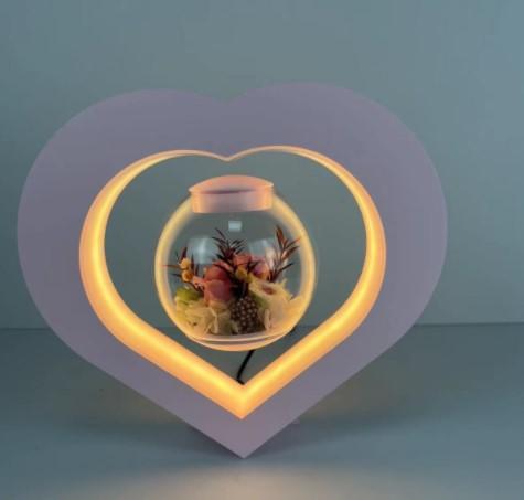 heart shape magnetic levitation preserved plant light for decoration gift