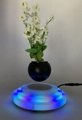 magnetic floating levitation air bonsai flowerpot plant 2