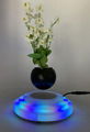 magnetic floating levitation air bonsai flowerpot plant