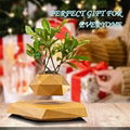 hotsale magnetic levitation black desk plant pot flower gift decoration  4