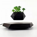 Decor Indoor Flowerpots Vase Succulent Magnetic Floating Levitating Flower