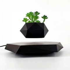 Decor Indoor Flowerpots Vase Succulent Magnetic Floating Levitating Flower