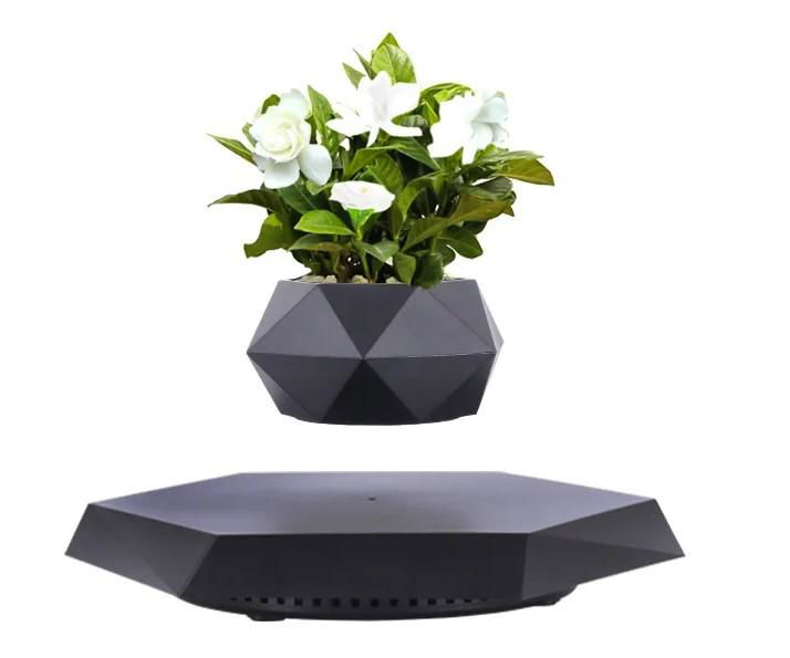 Decor Indoor Flowerpots Vase Succulent Magnetic Floating Levitating Flower 2