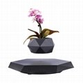 Decor Indoor Flowerpots Vase Succulent Magnetic Floating Levitating Flower