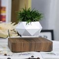 Factory Price Magnetic Floating Air Bonsai Levitating Air Bonsai Floating Potted