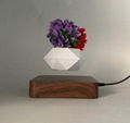 magnetic Ceiling Mid Century Planter  Creative Metal Magnetic Levitation pot  4