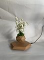 magnetic Monstera Artificial Monstera Plant Magnetic Levitaiton Floating Bonsai