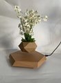 magnetic  Luxury Gift Nordic Style Magnetic Levitation Floating Flower Pots 3