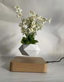  Magnetic Levitating Plant Pot Creative and Modern Gift Floating Flower Pot Home