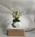  Magnetic Levitating Plant Pot Creative and Modern Gift Floating Flower Pot Home 7