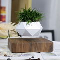 Magnetic Levitating Bonsai Wooden Floating Plant Magnetic Levitation Pots 