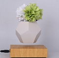 new rotating magnetic levitating floating plant air bonsai pot  1
