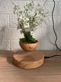 round base magnetic levitation floating plant air bonsai flowerpot for decor