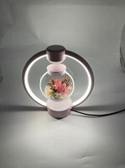 magnetic levitation immortal flower lamp light for decoration gift home 