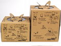 Free Design Tall Brown Paper Box Pack For Cake 2
