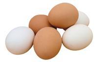 Fresh farm chicken eggs