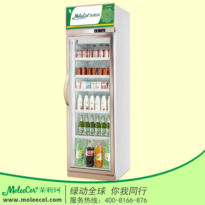 香檳色單門經濟型冷藏展示櫃 2