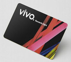 RFID Card/ IC Card/ PVC Card Smart Card