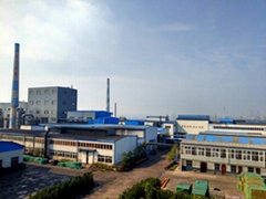 Pingdingshan Oriental Carbon Co.,Ltd.