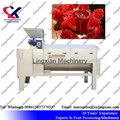 Good Performance Pomegranate Peeling Machine 5