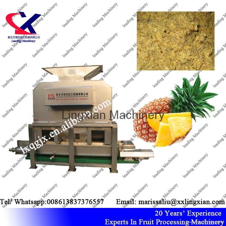 Low Price Industrial Pineapple Juice Production Line  2