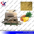 Low Price Industrial Pineapple Juice Production Line  2