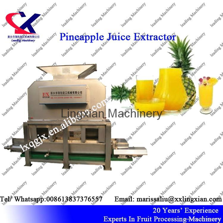 Low Price Industrial Pineapple Juice Production Line  4
