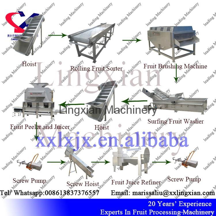 Low Price Industrial Pineapple Juice Production Line  5