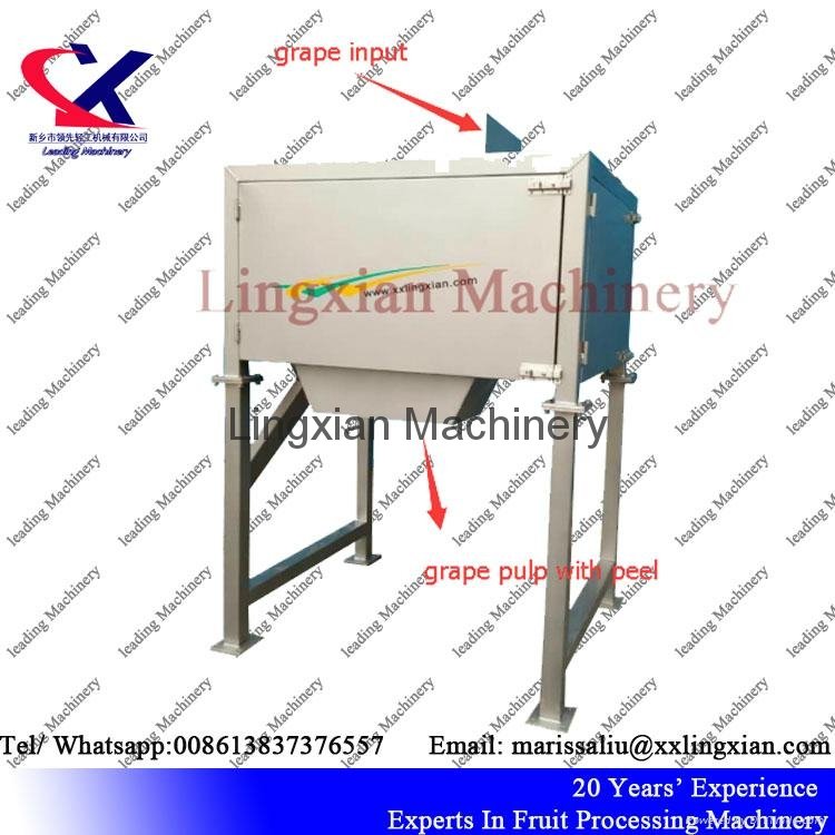 High Efficiency Seed separator used for orange grape pomegranate