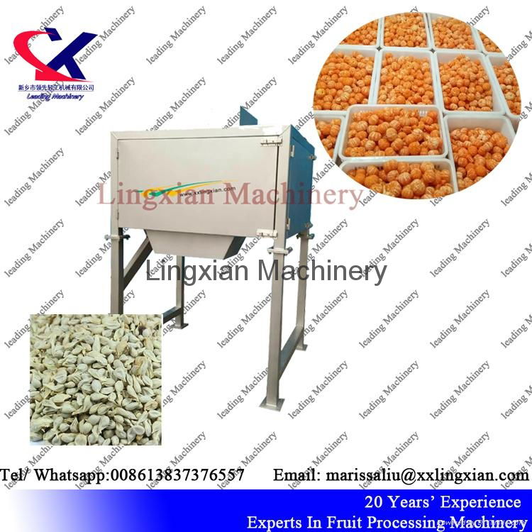 High Efficiency Seed separator used for orange grape pomegranate 2