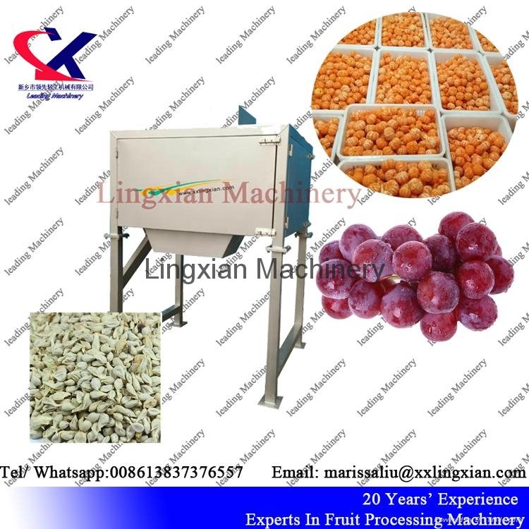 High Efficiency Seed separator used for orange grape pomegranate 3