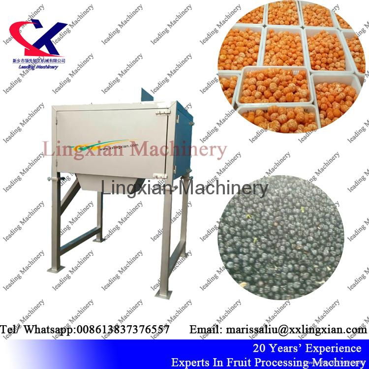 High Efficiency Seed separator used for orange grape pomegranate 4