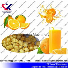 Citrus juice processing Equipment orange peeler and juicer machine