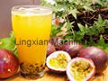 Passion Fruit Juice Extractor 3t per hour fruit pulper machine 2