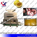 Passion Fruit Juice Extractor 3t per hour fruit pulper machine 5