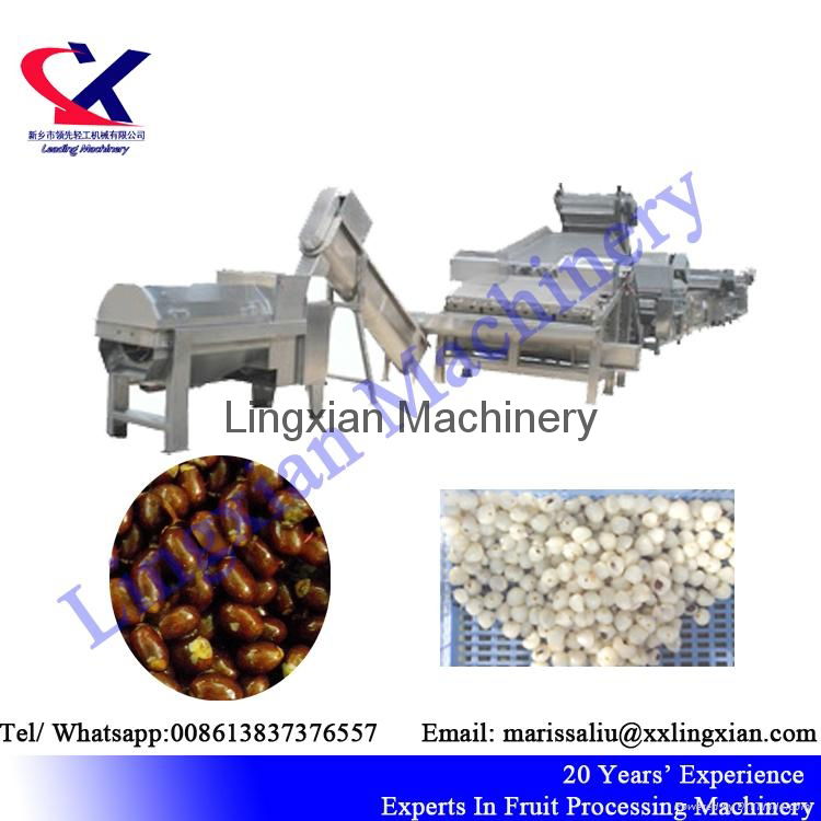 Lychee Juice Production Line Equipment Litchi peeling and juicing Machine