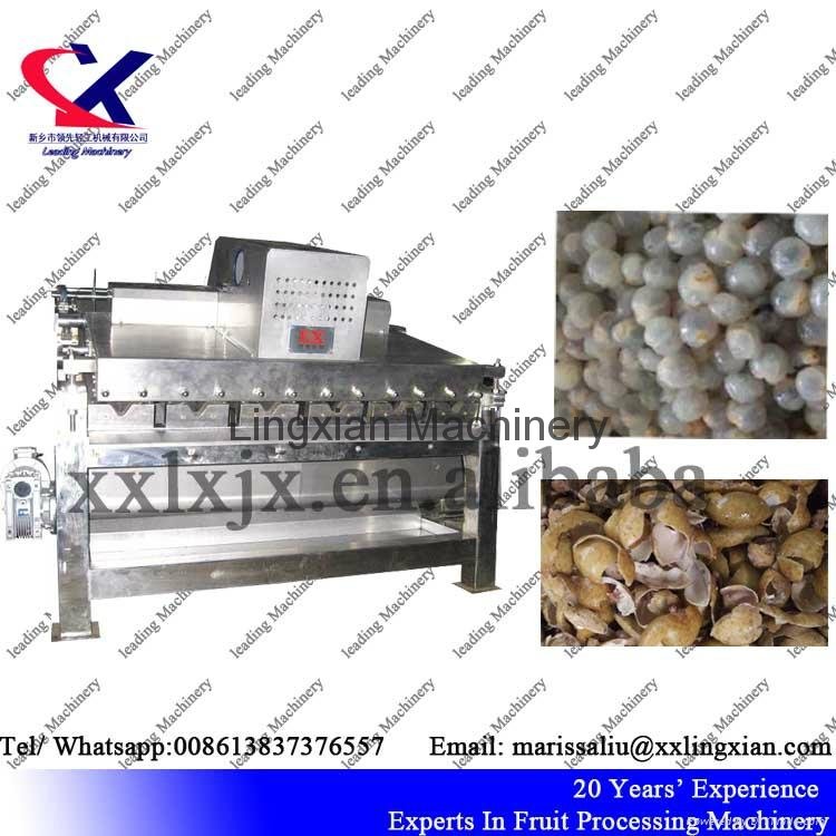 Lychee Juice Production Line Equipment Litchi peeling and juicing Machine 2