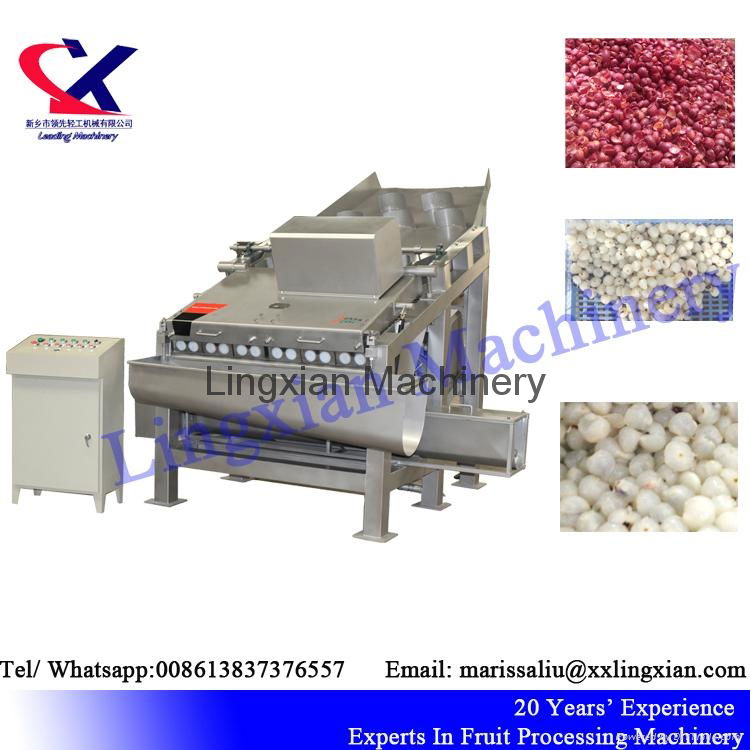 Lychee Juice Production Line Equipment Litchi peeling and juicing Machine 3