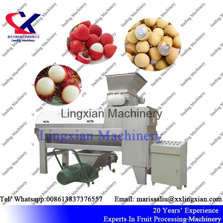 Lychee Juice Production Line Equipment Litchi peeling and juicing Machine 4