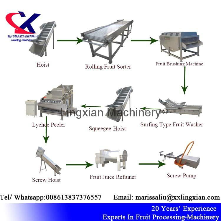 Lychee Juice Production Line Equipment Litchi peeling and juicing Machine 5