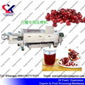 Pomegranate juice Press Machine Screw Juice Press 2