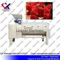 Pomegranate juice Press Machine Screw Juice Press 4