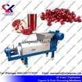 Pomegranate juice Press Machine Screw Juice Press 5