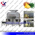 Fruit Juice processing line for citrus pineapple dragon fruit lemon 2