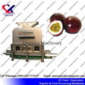 Fruit Juice processing line for citrus pineapple dragon fruit lemon 4