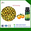 Citrus Oil Milling Machine Citrus oil peel extraction Machine 1