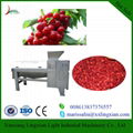 Industrial Cherry Pitters fruit juice processing machinery 1